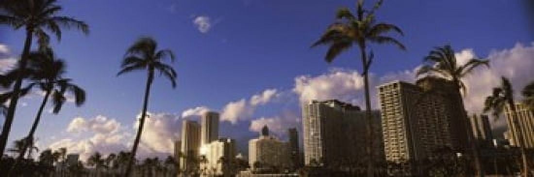 Low angle view of skyscrapers Honolulu Hawaii USA 2010 Canvas Art - Panoramic Images (18 x 6)