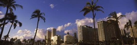 Low angle view of skyscrapers Honolulu Hawaii USA 2010 Canvas Art - Panoramic Images (36 x 12)