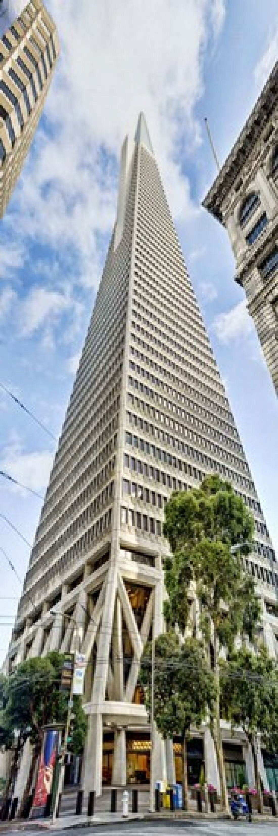 Low angle view of skyscrapers Transamerica Pyramid San Francisco California USA 2011 Canvas Art - Panoramic Images (18 x 6)
