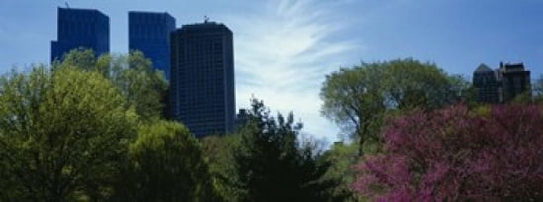 Low angle view of skyscrapers viewed from a park Central Park Manhattan New York City New York State USA Canvas Art - Panoramic Images (15 x 6)