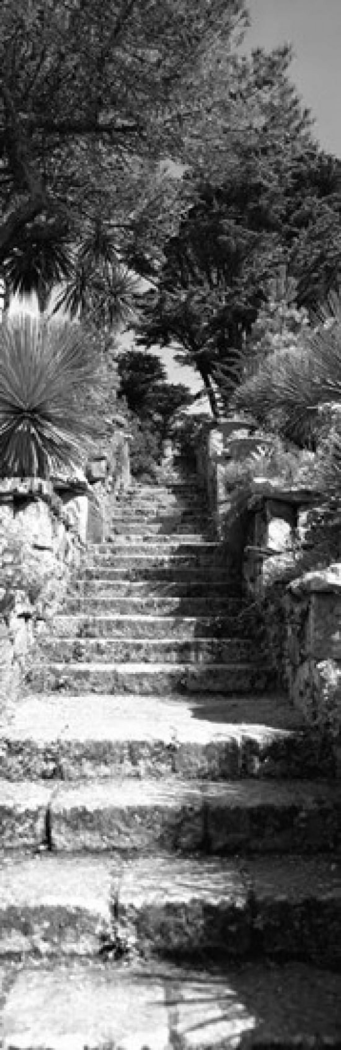 Low angle view of steps in a garden Neptunes Steps Tresco Abbey Garden Tresco Isles Of Scilly England Canvas Art - Panoramic Images (18 x 6)