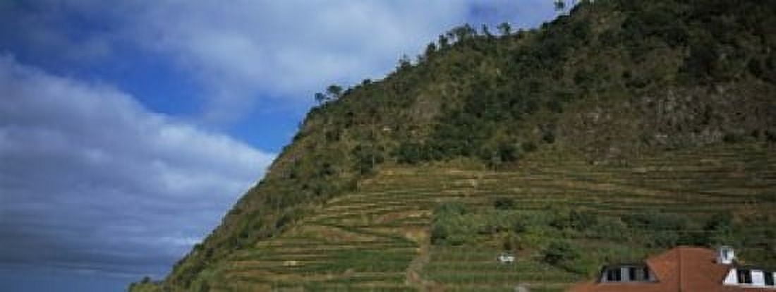 Low angle view of terraced fields on a mountain Ponta Delgada Madeira Portugal Canvas Art - Panoramic Images (15 x 6)
