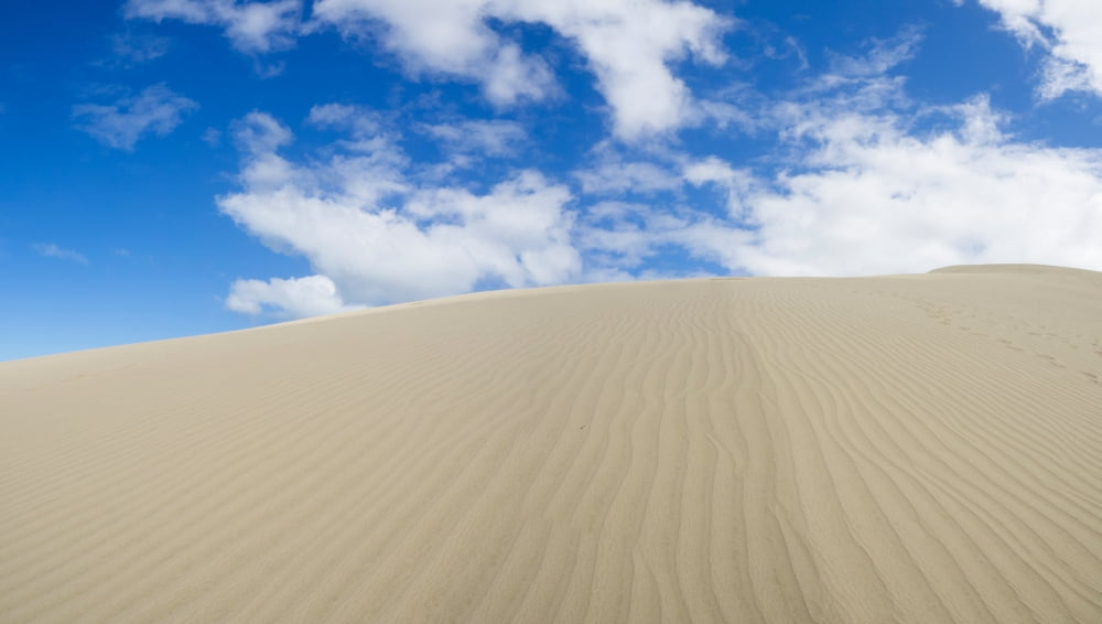 Low angle view of the Te Paki Sand Dunes Cape Reinga Northland Region North Island New Zealand Canvas Art - Panoramic Images (14 x 24)