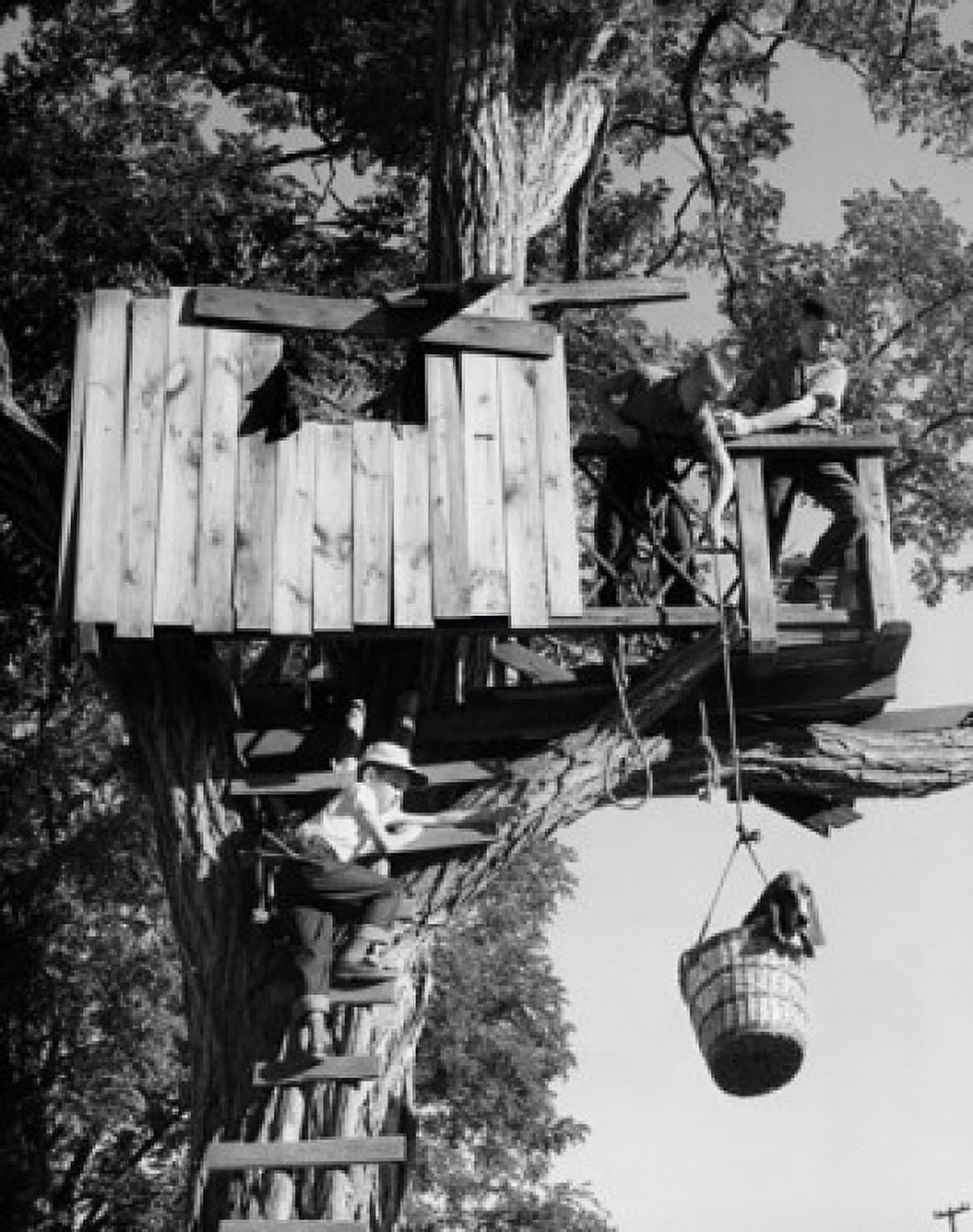 Low angle view of three children playing in a tree house Canvas Art - (24 x 36)