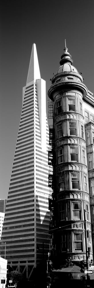 Low angle view of towers Columbus Tower Transamerica Pyramid San Francisco California USA Canvas Art - Panoramic Images (12 x 36)