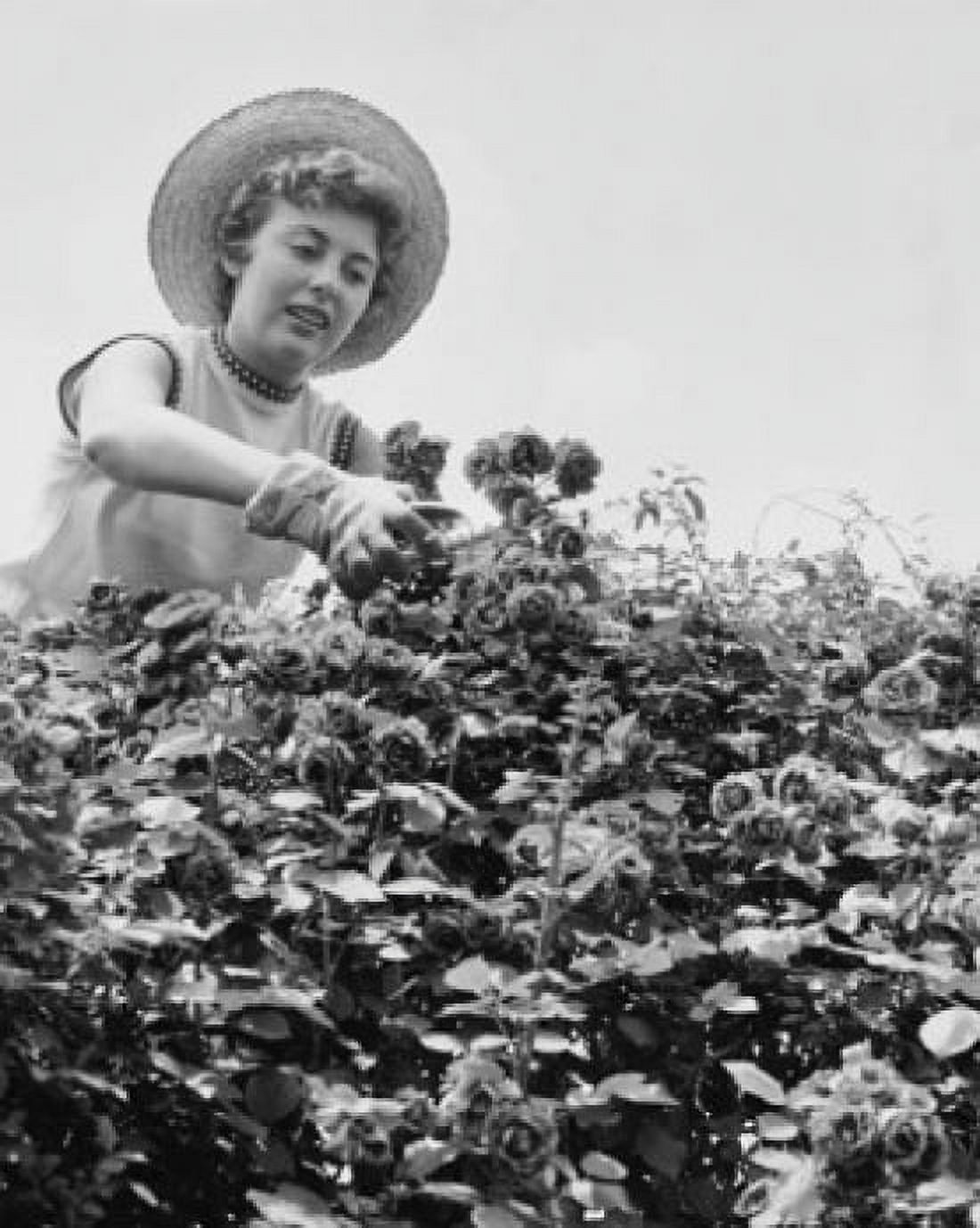 Low angle view of young woman gardening Canvas Art - (18 x 24)