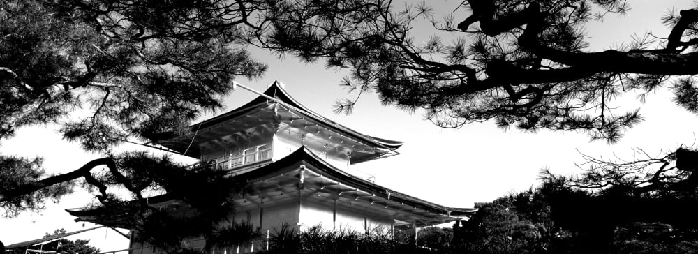 Low angle view of trees in front of a temple Kinkaku-ji Temple Kyoto City Kyoto Prefecture Kinki Region Honshu Japan Canvas Art - Panoramic Images (7 x 18)