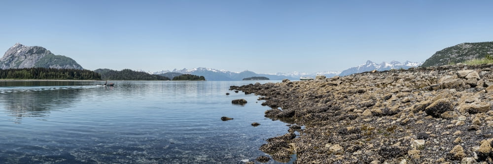 Low tide walk at beach Southeast Alaska Alaska USA Canvas Art - Panoramic Images (36 x 12)