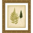 thumbnail image 1 of Lowe 15x18 Gold Ornate Wood Framed with Double Matting Museum Art Print Titled - Cottage Ferns I, 1 of 4