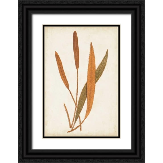 Lowe 17x24 Black Ornate Wood Framed with Double Matting Museum Art Print Titled - Fern Family VI