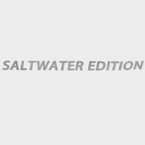 Lowe Boat Decal Sticker 2223366 | Saltwater Edition Metallic Silver