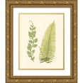 thumbnail image 1 of Lowe, E. J. 12x14 Gold Ornate Wood Framed with Double Matting Museum Art Print Titled - Woodland Ferns VI, 1 of 4