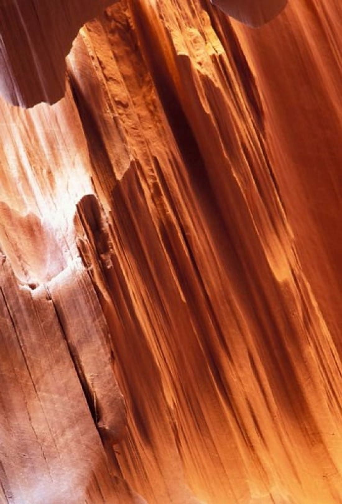 Lower Antelope Canyon 4 Canvas Art - Tom Vezo DanitaDelimont (12 x 17)