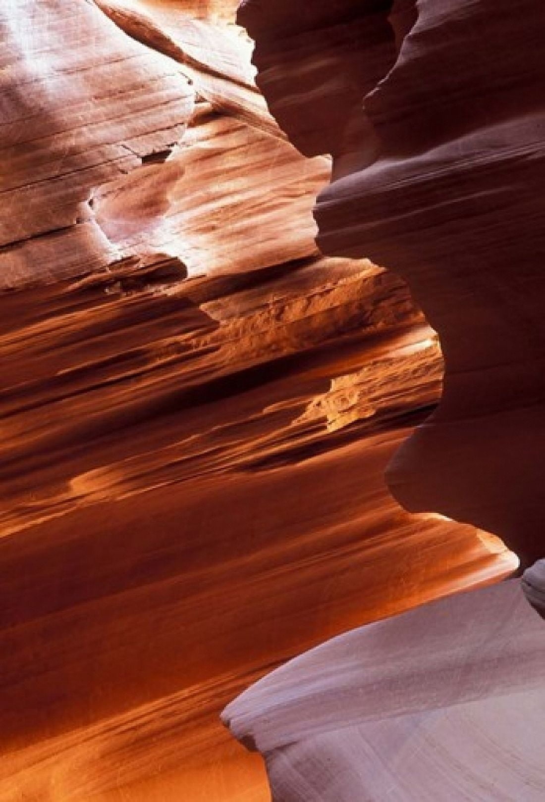 Lower Antelope Canyon 6 Canvas Art - Tom Vezo DanitaDelimont (12 x 17)