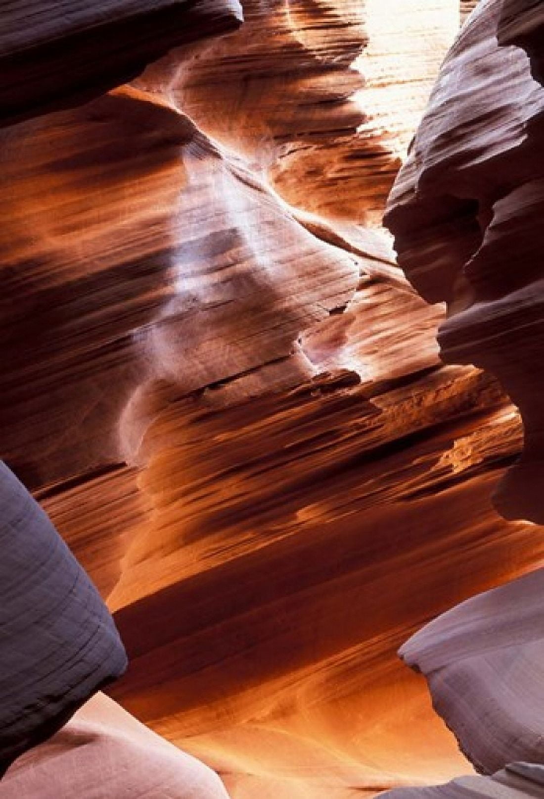 Lower Antelope Canyon 7 Canvas Art - Tom Vezo DanitaDelimont (24 x 35)
