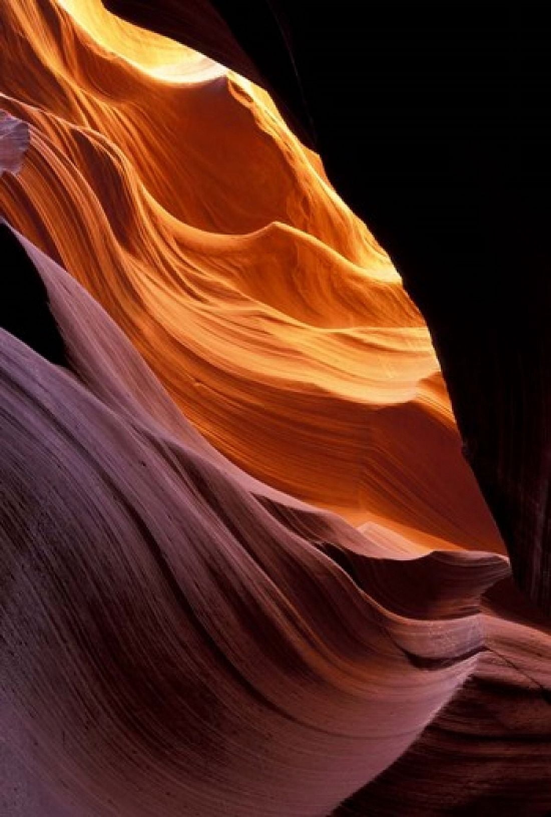 Lower Antelope Canyon 8 Canvas Art - Tom Vezo DanitaDelimont (24 x 35)