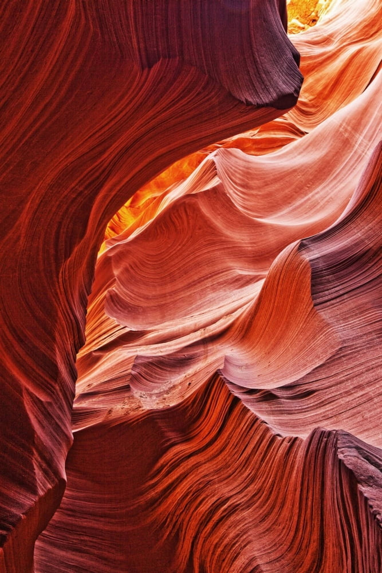 Lower Antelope Canyon Arizona Canvas Art - Robert Postma Design Pics (22 x 34)