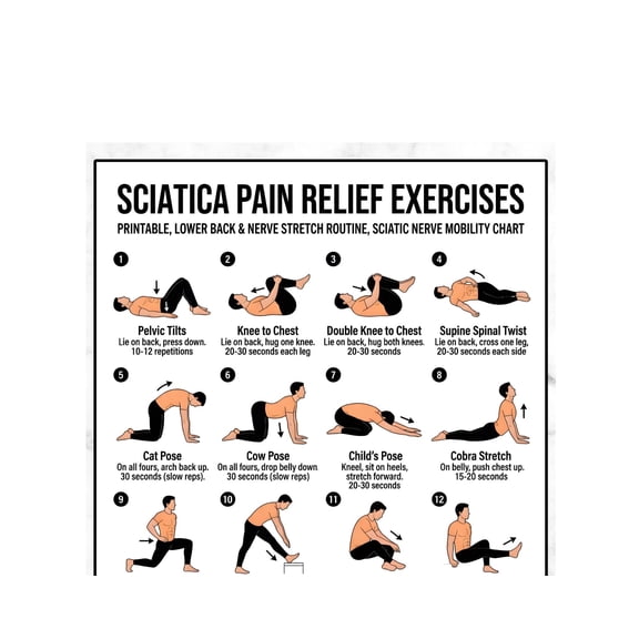 Lower Back Pain Relief Poster Sciatica Exercise Stretch Routine Chart