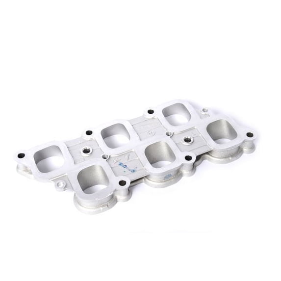 Lower Intake Manifold