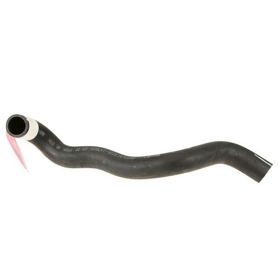 Lower Radiator Hose - Compatible with 2004 - 2008 Ford F-150 2005 2006 2007