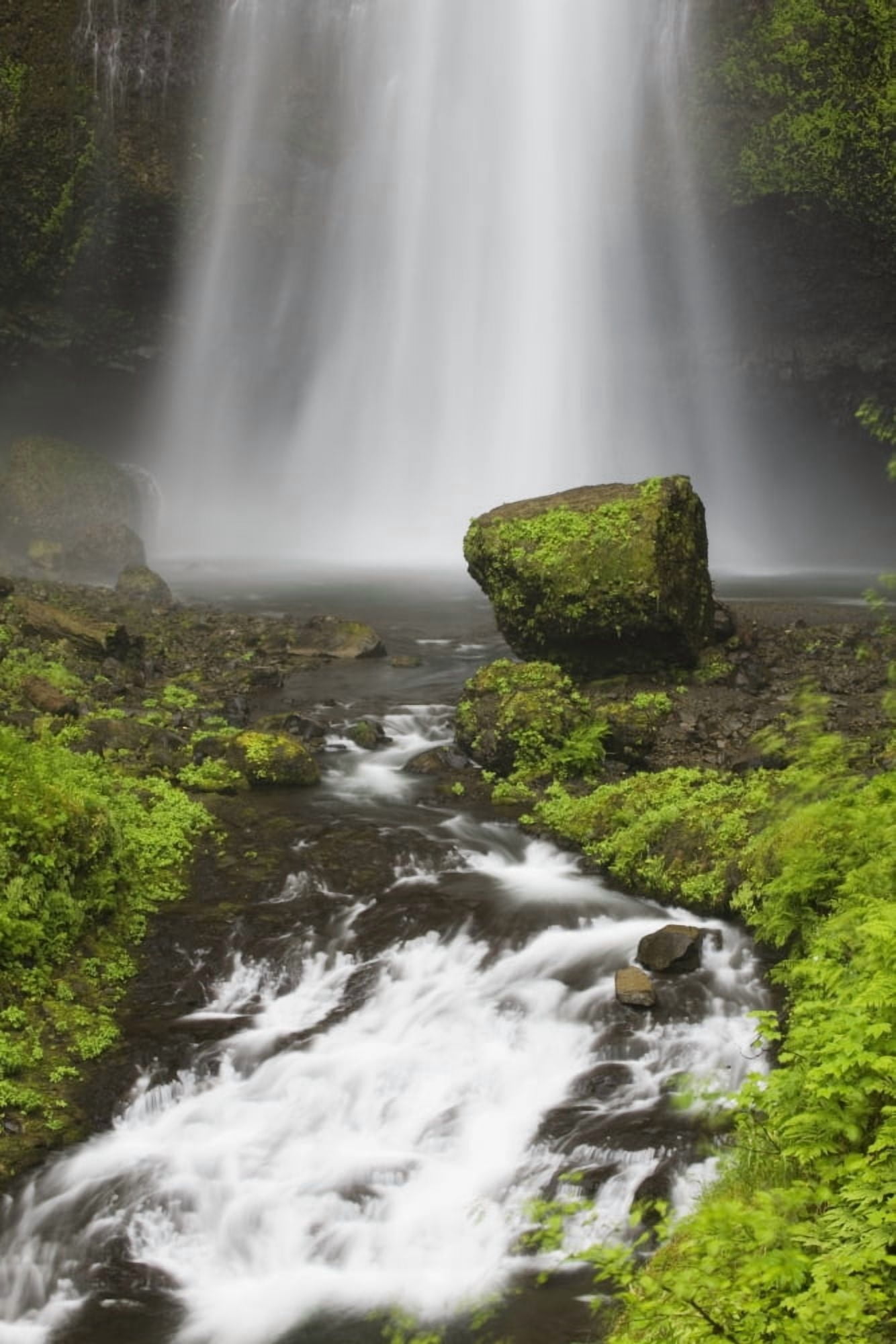Lower Section Of Multnomah Falls With Moss Covered Rock Oregon United States of America Canvas Art - Michael Interisano  Design Pics (12 x 19)