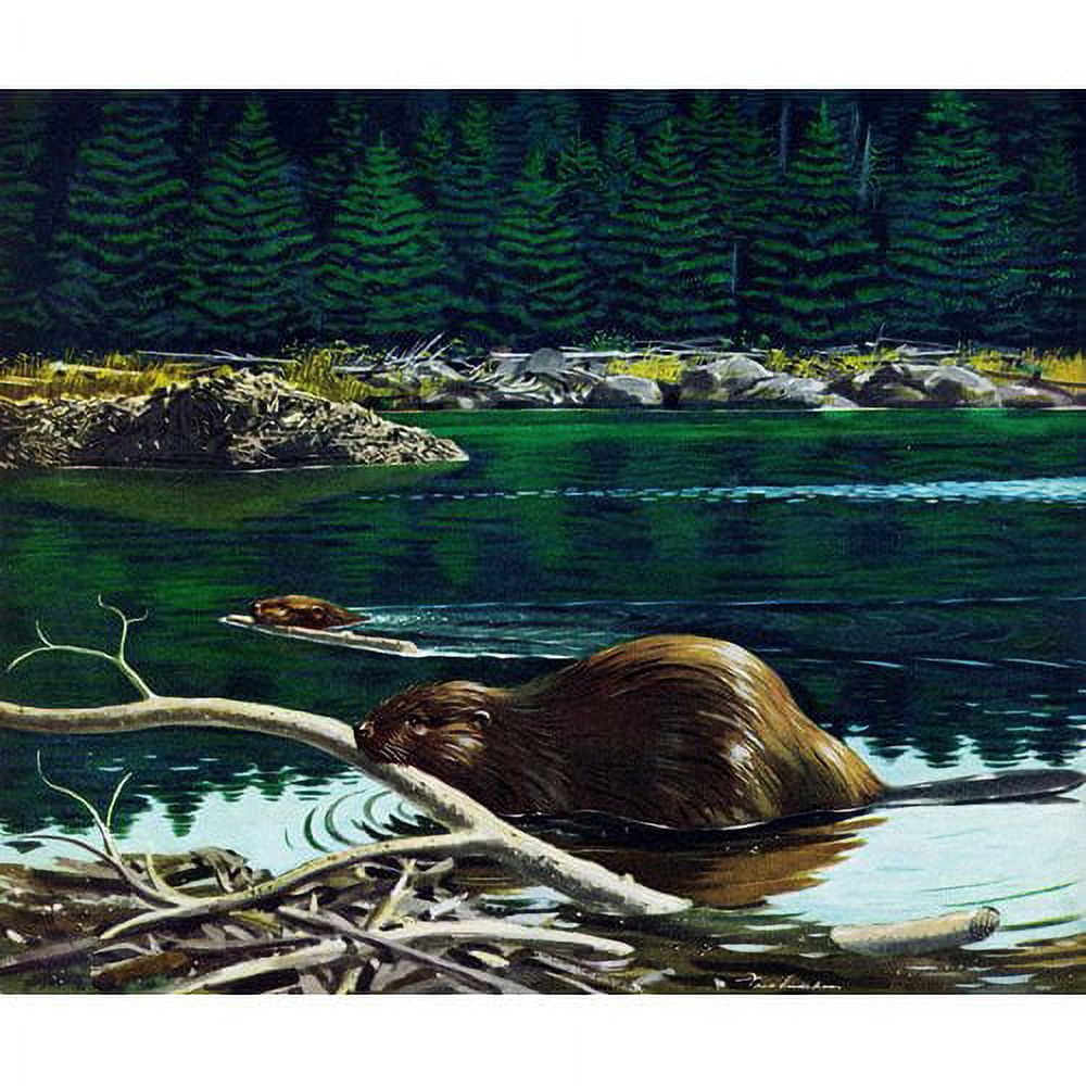 "Lowland Beaver" Painting Print on Wrapped Canvas