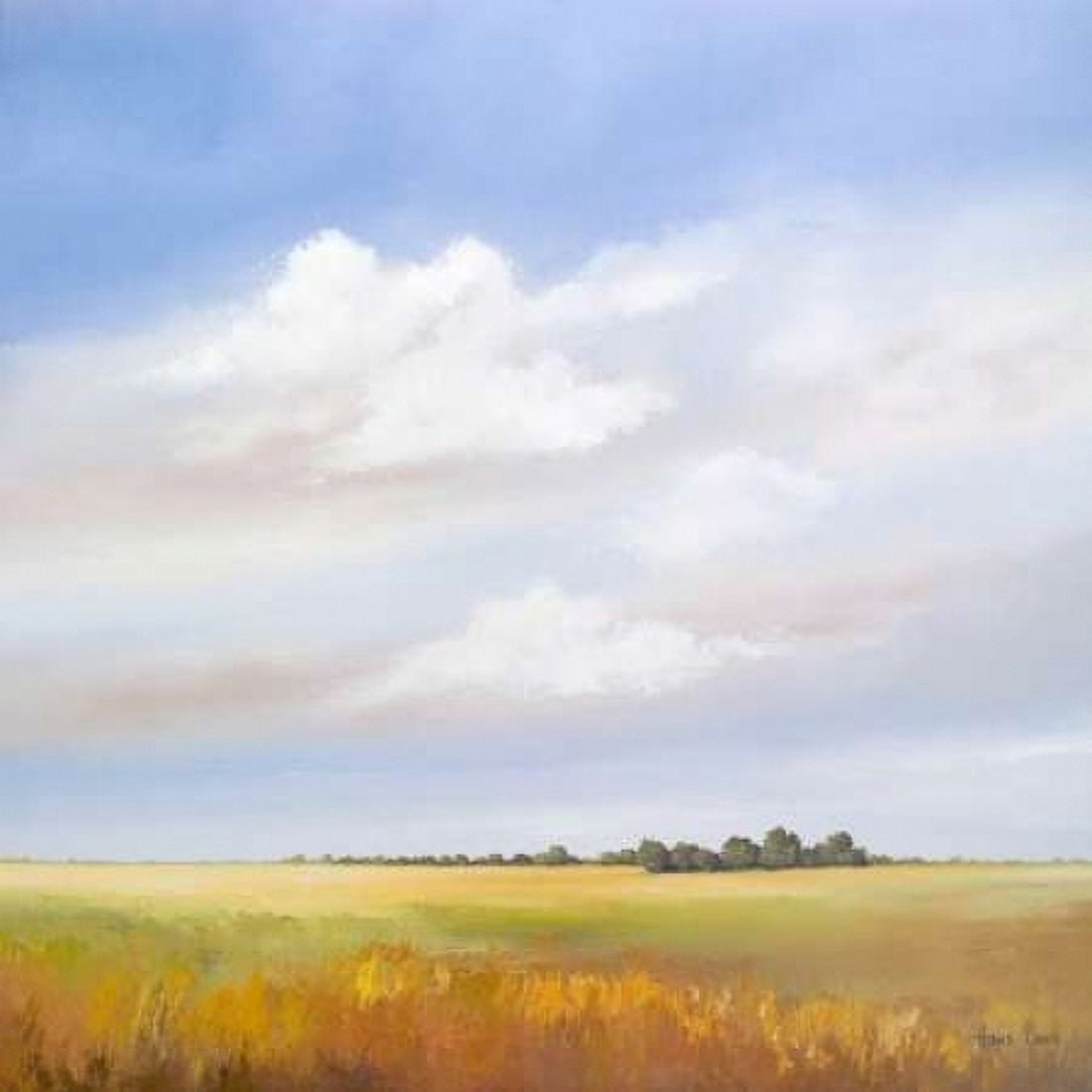 Lowlands IV Canvas Art - Hans Paus (24 x 24)