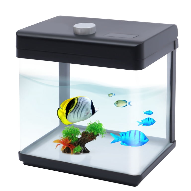 Illustration of Small Saltwater Aquarium Kits