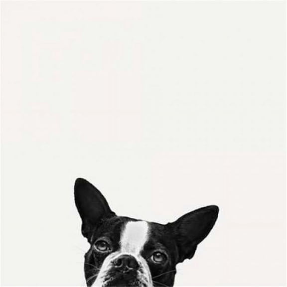 Loyalty Poster Print by Jon Bertelli