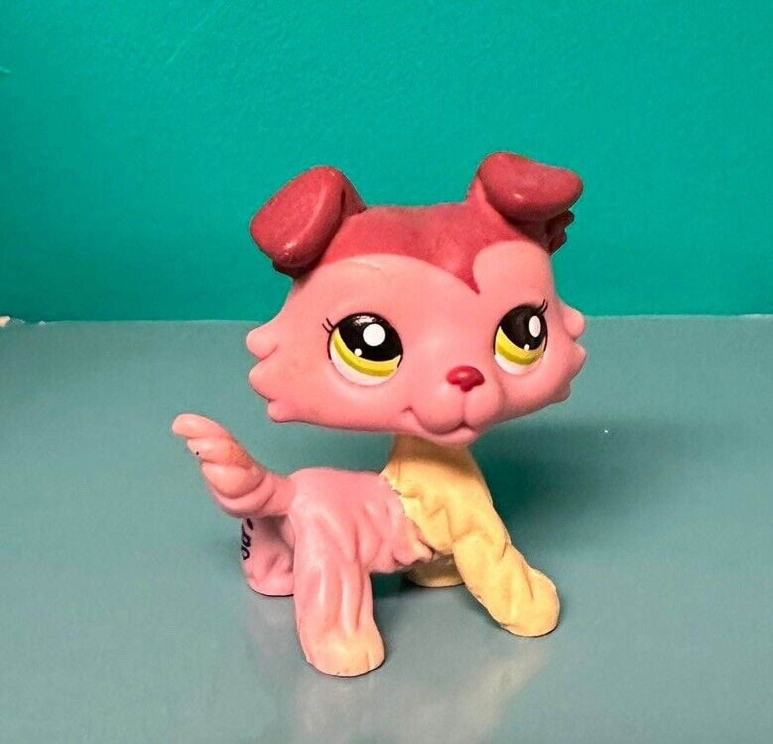 Lps 1723 Littlest Petshop Original Authentic Chien Colley Dog
