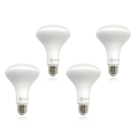 Lroom 4-Pack of Dimmable LED Light Bulbs, Lighting Photo Daylight Bulbs 5000K 850LM, WMT2133