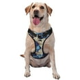 thumbnail image 1 of Lsque Abstract Blue Squares Dog Harness, No-Pull Pet Harness with 2 Leash Clips, Adjustable Soft Padded Dog Vest with Easy Control Handle for Large Dogs-Small, 1 of 9