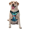 thumbnail image 1 of Lsque Aurora Borealis Village Dog Harness, No-Pull Pet Harness with 2 Leash Clips, Adjustable Soft Padded Dog Vest with Easy Control Handle for Large Dogs-X-Large, 1 of 9