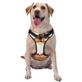 thumbnail image 1 of Lsque Autumn Gnomes-1 Dog Harness, No-Pull Pet Harness with 2 Leash Clips, Adjustable Soft Padded Dog Vest with Easy Control Handle for Large Dogs-Small, 1 of 9