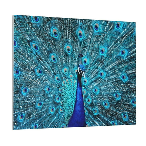 Lsque Beautiful Blue Peacock Print Wall Art – Decorative Picture for Living Room, Bedroom, and Office (Horizontal)