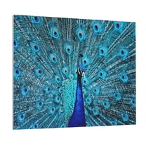 Lsque Beautiful Blue Peacock Print Wall Art – Decorative Picture for Living Room, Bedroom, and Office (Horizontal)