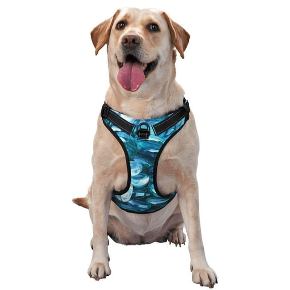 Lsque Blue Kyanite Dog Harness, No-Pull Pet Harness with 2 Leash Clips, Adjustable Soft Padded Dog Vest with Easy Control Handle for Large Dogs-Large