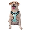 thumbnail image 1 of Lsque Blue Marble Dog Harness, No-Pull Pet Harness with 2 Leash Clips, Adjustable Soft Padded Dog Vest with Easy Control Handle for Large Dogs-Small, 1 of 9