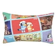 thumbnail image 1 of Lsque Bluey Pattern Bedding Waterproof Pillow Protector Zippered Queen – Bed Bug Proof Pillow Encasement-14"x20", 1 of 6