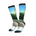 thumbnail image 1 of Lsque Bluey Printed Crew Socks Men's Women's LightWeight Thin Casual Calf Socks ,Knee High Socks,Cotton Socks, 1 of 9