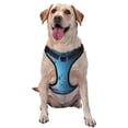 thumbnail image 1 of Lsque Butterflies And Waterlily In Water Dog Harness, No-Pull Pet Harness with 2 Leash Clips, Adjustable Soft Padded Dog Vest with Easy Control Handle for Large Dogs-, 1 of 9
