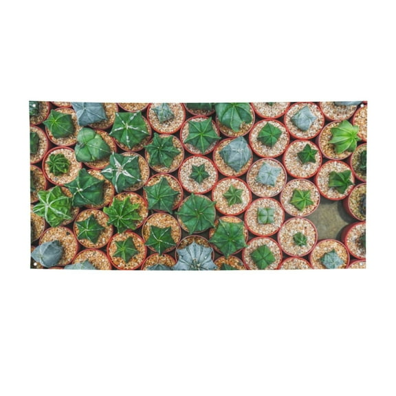 Lsque Cactus 4 Pattern Party Banner, Festive Banner , Holiday Celebrations and Events for Carnival Birthday Party Festival Decorations-Small