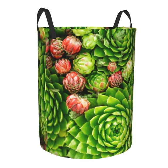 Lsque Cactus And Succulents pattern Laundry Hamper Basket, Tall Woven Rope Hamper Basket for Clothes, Lightweight Storage Basket, Collapsible Waterproof-Medium