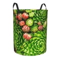 thumbnail image 1 of Lsque Cactus And Succulents pattern Laundry Hamper Basket, Tall Woven Rope Hamper Basket for Clothes, Lightweight Storage Basket, Collapsible Waterproof-Small, 1 of 8