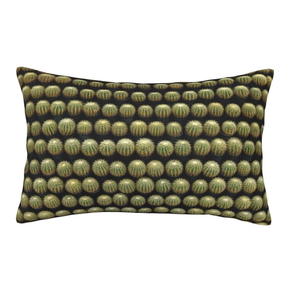 Lsque Cactus Farmland Pattern Pillow Case – Soft & Cozy Throw Pillow Cover, Hypoallergenic Cushion Case for Sleeping Women with Envelope Closure-20"x30"