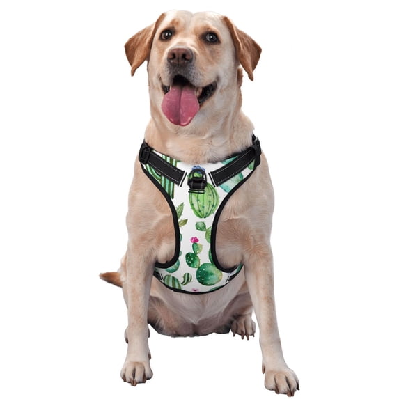Lsque Cactus Plants1 Dog Harness, No-Pull Pet Harness with 2 Leash Clips, Adjustable Soft Padded Dog Vest with Easy Control Handle for Large Dogs-Small