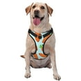 thumbnail image 1 of Lsque Cartoon Carrot Dog Harness, No-Pull Pet Harness with 2 Leash Clips, Adjustable Soft Padded Dog Vest with Easy Control Handle for Large Dogs-Large, 1 of 9
