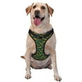 thumbnail image 1 of Lsque Cartoon Fox 1 Dog Harness, No-Pull Pet Harness with 2 Leash Clips, Adjustable Soft Padded Dog Vest with Easy Control Handle for Large Dogs-Large, 1 of 9