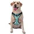 thumbnail image 1 of Lsque Cartoon Funny Goose Dog Harness, No-Pull Pet Harness with 2 Leash Clips, Adjustable Soft Padded Dog Vest with Easy Control Handle for Large Dogs-Medium, 1 of 9