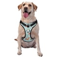 thumbnail image 1 of Lsque Christmas Winter Animals Dog Harness, No-Pull Pet Harness with 2 Leash Clips, Adjustable Soft Padded Dog Vest with Easy Control Handle for Large Dogs-Large, 1 of 9